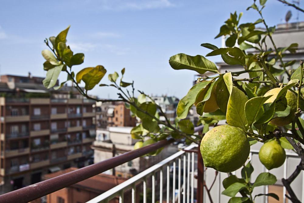 B&B Splendidae Mundi Roma Exterior foto